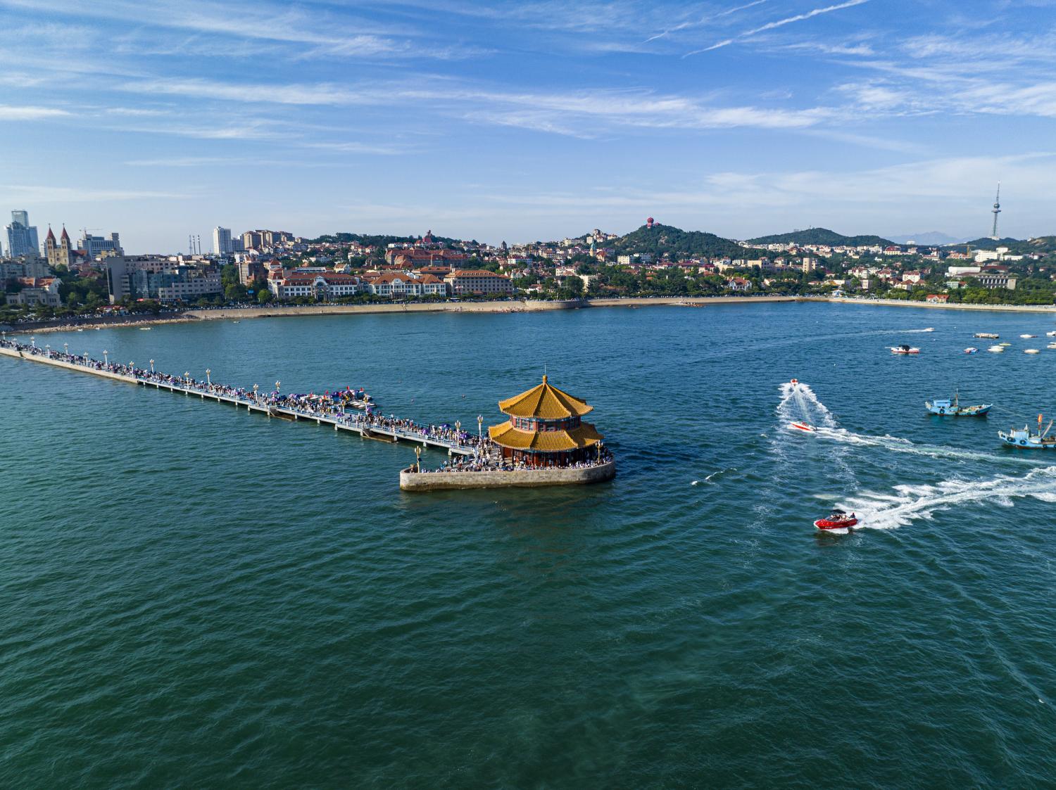 山东技能学习指南，从入门到进阶的任务与步骤解析