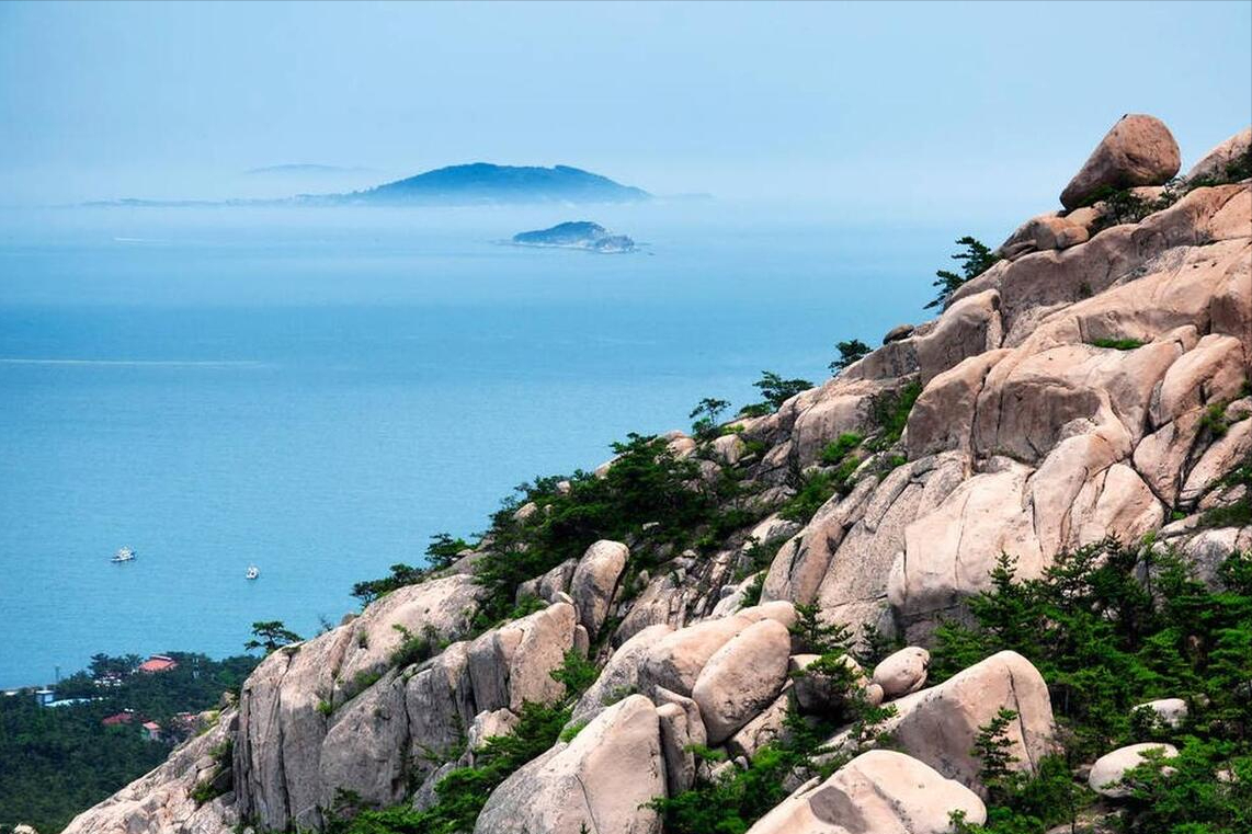 山东技能学习指南,从入门到进阶的任务与步骤解析